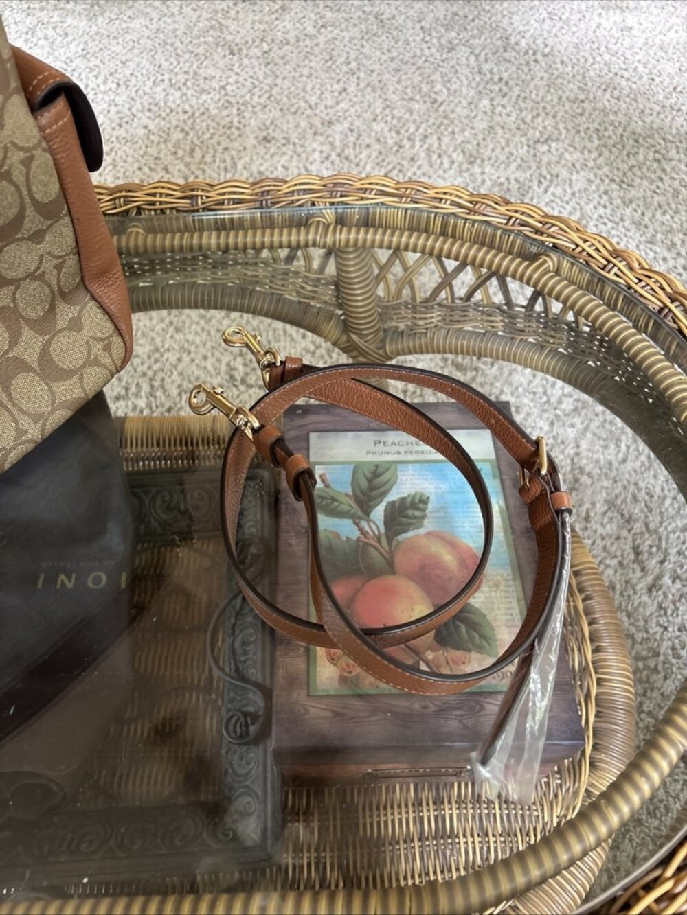 coach pennie shoulder bag Tan Signature With New Shoulder Strap - Picture 2 of 13